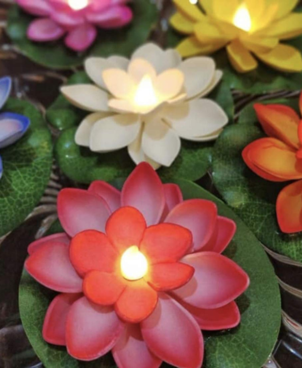 lotus flower floating candles
