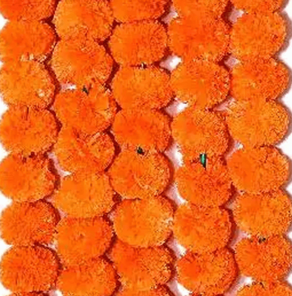 orange color garlands