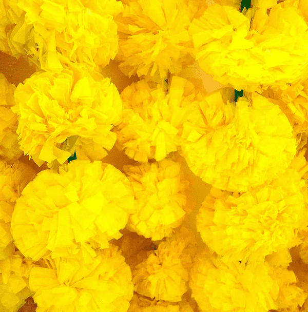 yellow color garland